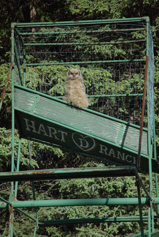 Вілла Hart D Ranch Slana Екстер'єр фото